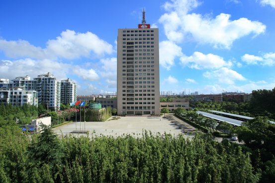 脉搏 打造行业品牌 彰显央企实力--中冶上海宝