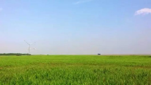 上海那些低调却值得一去的景点