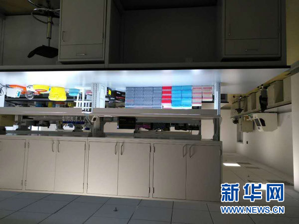 基因检测师,一双解析生命密码的手