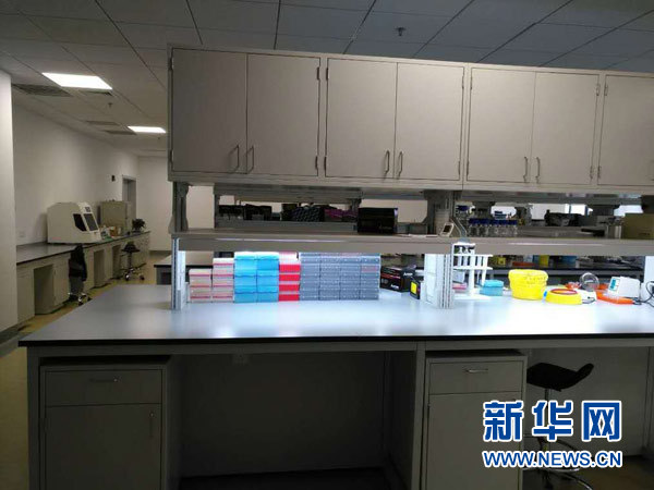 基因检测师,一双解析生命密码的手