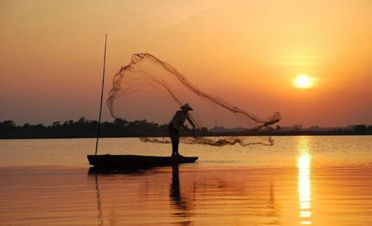 巴城阳澄湖大闸蟹为何成上海人最爱? 开捕季访