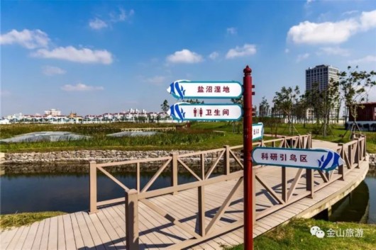 金山鹦鹉洲生态湿地公园免费开园 请收好这份