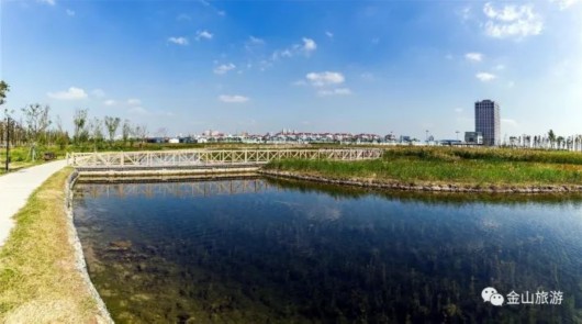 金山鹦鹉洲生态湿地公园免费开园 请收好这份