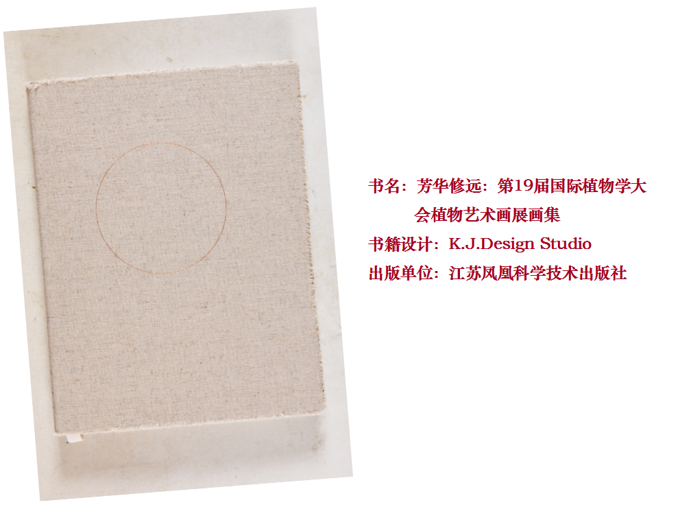 2017年度中国最美的书评选揭晓