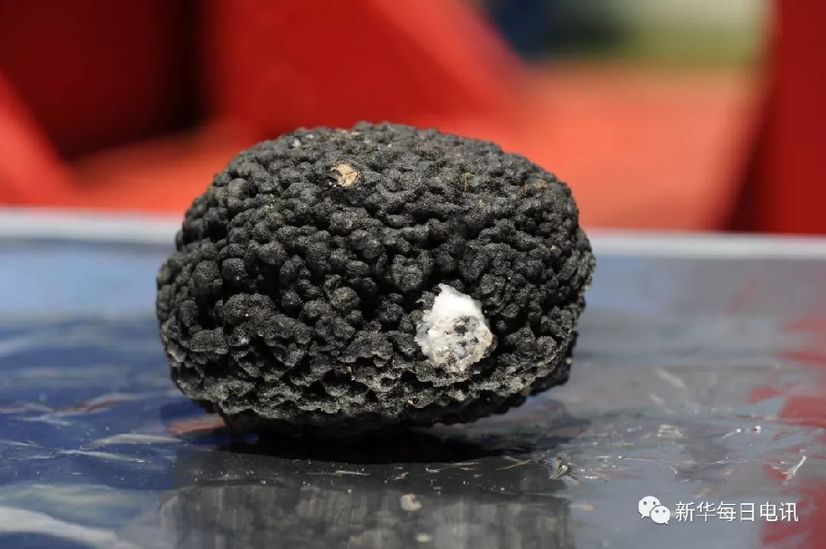 心在一起叫团队!科学号:党旗在海风中高高飘