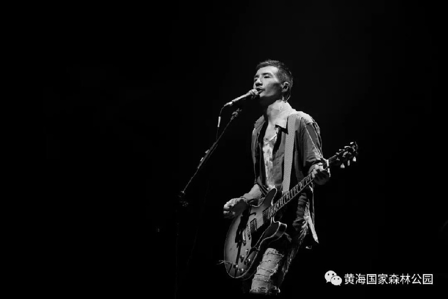 森林碰上迷笛,国庆去江苏东台享受音乐狂欢