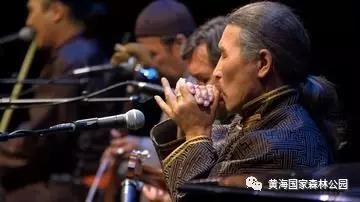 森林碰上迷笛,国庆去江苏东台享受音乐狂欢