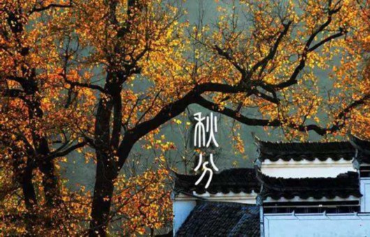 秋分:团圆节前秋期半 从此昼短夜漫漫