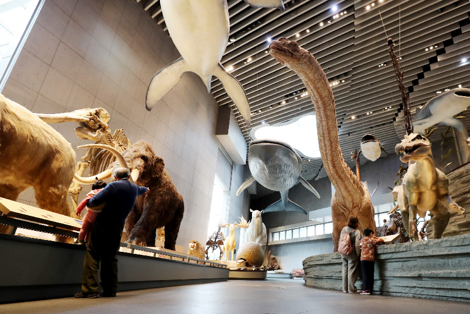 3月13日,游客在上海自然博物馆内参观游览.