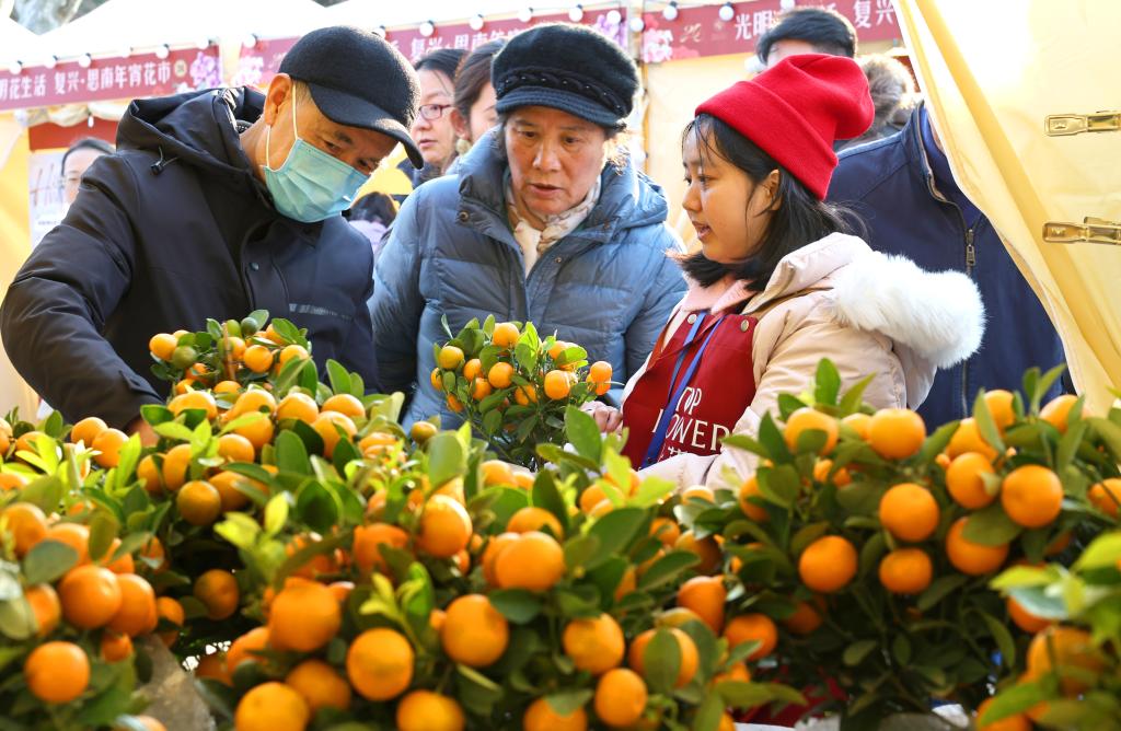 年味渐浓迎新春