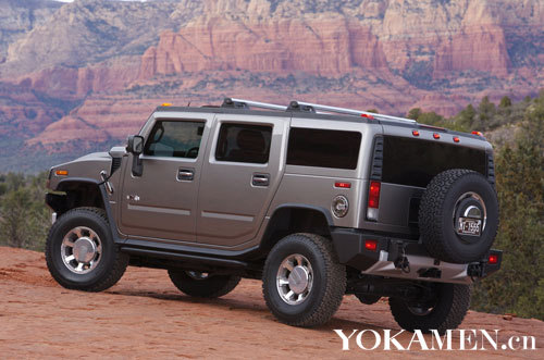 天性使然 不一样的激情不一样的选择