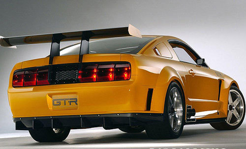 天性使然 不一样的激情不一样的选择_新华网上