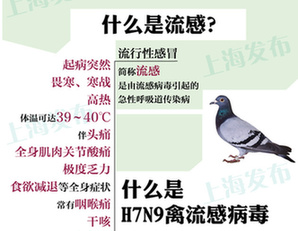关注H7N9禽流感疫情防控工作 新华网上海频道