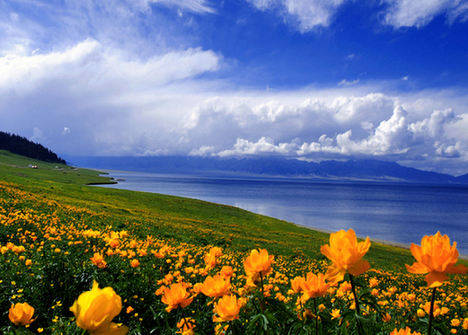 Calming pictures......