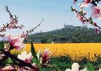 上海松江