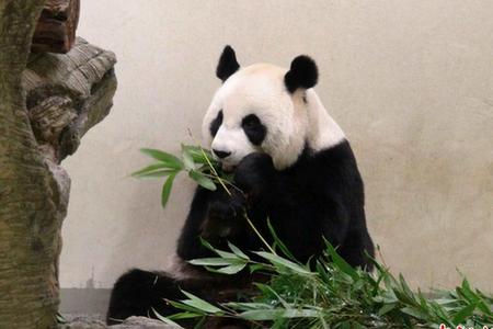 公安部摸底上海<em>马甲</em>贸易公司资金源 涉恶意做