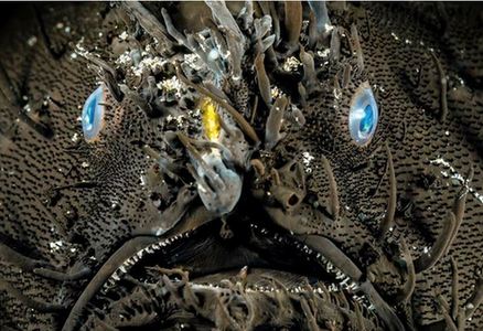 甘肃一<em>中学领导不雅视频</em> 已被免职降低工资两