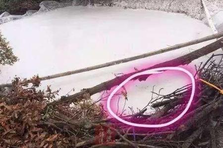 上海超广东成全国骚扰电话最大的号码来源地