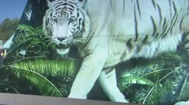 新华网上海频道网络电视