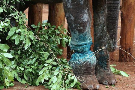 上海医院提速知识产权步伐 唤醒休眠专利破屏