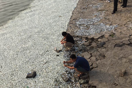 上海支持香港国际仲裁中心等机构入驻自贸区