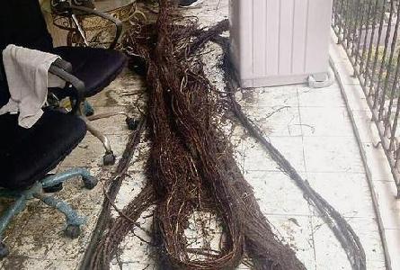 美报称苹果电动汽车或将于2019年发货