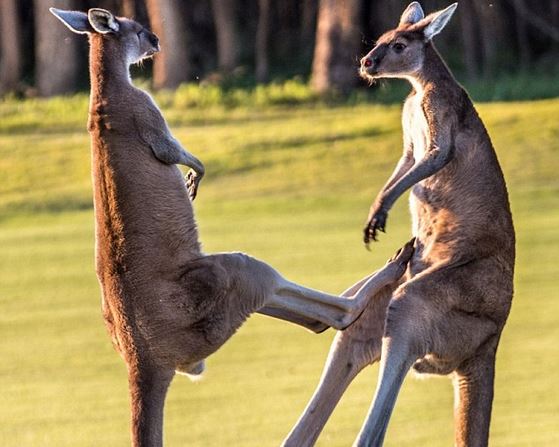 2015“创业浦东”全球青年科技创新大赛正式启动-新华网