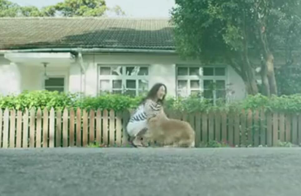 新华网上海频道网络电视