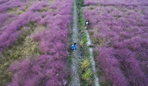 首批三座滴滴车站落沪 将优先配置车辆