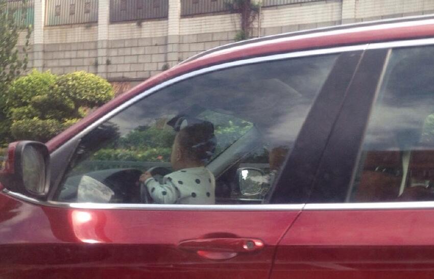 男子为外籍人员办假签证 获刑七年罚款3万