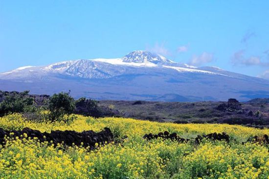 错峰出游 3月国外热门目的地TOP10