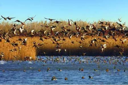 人少景美 上海这些城中&ldquo;秘境&rdquo;你知道几个