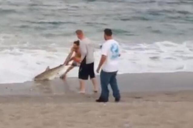 上海自贸区市场监督管理局成立 3月1日起运行