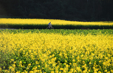 战地3瞄准镜解锁