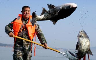 瞄准镜的xy是代表什么的