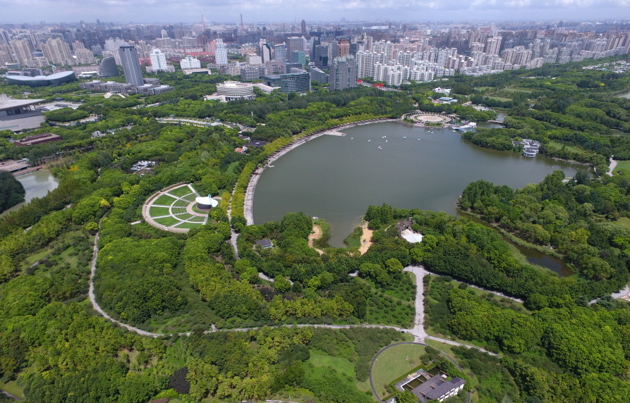 航拍"城市绿洲"上海世纪公园