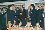 bqf016.jpg