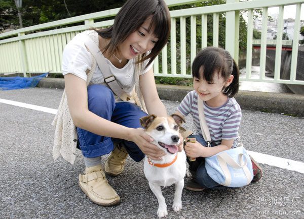 与春同行》揭幕 2011年上海电影节 日本电影周